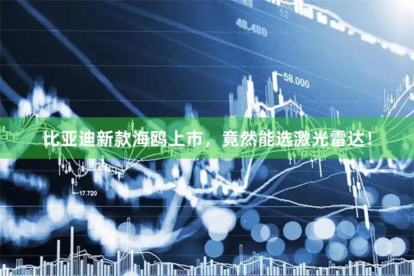 比亚迪新款海鸥上市，竟然能选激光雷达！