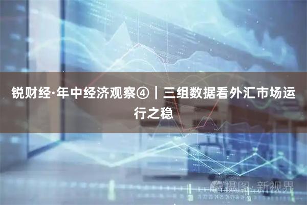 锐财经·年中经济观察④|三组数据看外汇市场运行之稳